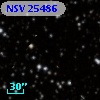 NSV 25486