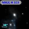 NOGG H  323