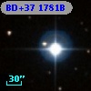 BD+37  1781B