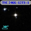 TYC 2466-1273-1