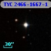 TYC 2466-1667-1