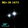 BD+36  1673