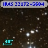 IRAS 22172+5604