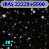 IRAS 22229+5500
