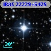 IRAS 22229+5428