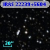 IRAS 22239+5604