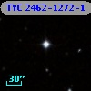 TYC 2462-1272-1