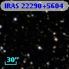 IRAS 22290+5604