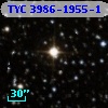 TYC 3986-1955-1