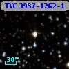 TYC 3987-1262-1