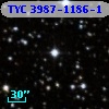 TYC 3987-1186-1