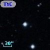 TYC  783-394-1