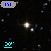 TYC  786-604-1