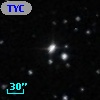 TYC  786-631-1