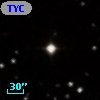 TYC  786-729-1