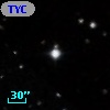 TYC  786-806-1