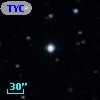 TYC  787-141-1