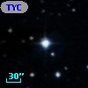 TYC  787-303-1