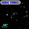 LEDA   78065