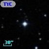 TYC  778-228-1