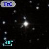 TYC  778-231-1