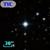 TYC  778-275-1