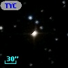 TYC  778-445-1