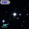 TYC  779-31-1