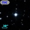 TYC  779-924-1