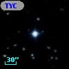 TYC  779-1008-1