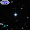 TYC  782-519-1