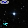 TYC  782-631-1