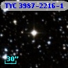 TYC 3987-2216-1
