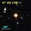 V* UV CMi