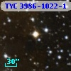 TYC 3986-1022-1
