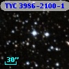 TYC 3986-2100-1