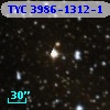 TYC 3986-1312-1