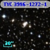 TYC 3986-1272-1