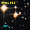 NLTT 18446