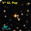 V* GL Pup
