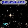 [P85] 0747-1029