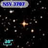 NSV  3707