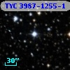 TYC 3987-1255-1