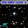TYC 3987-1329-1