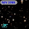NSV  3709