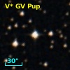 V* GV Pup