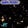 LEDA   78197