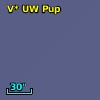 V* UW Pup