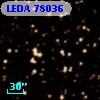 LEDA   78036