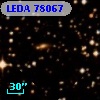 LEDA   78067